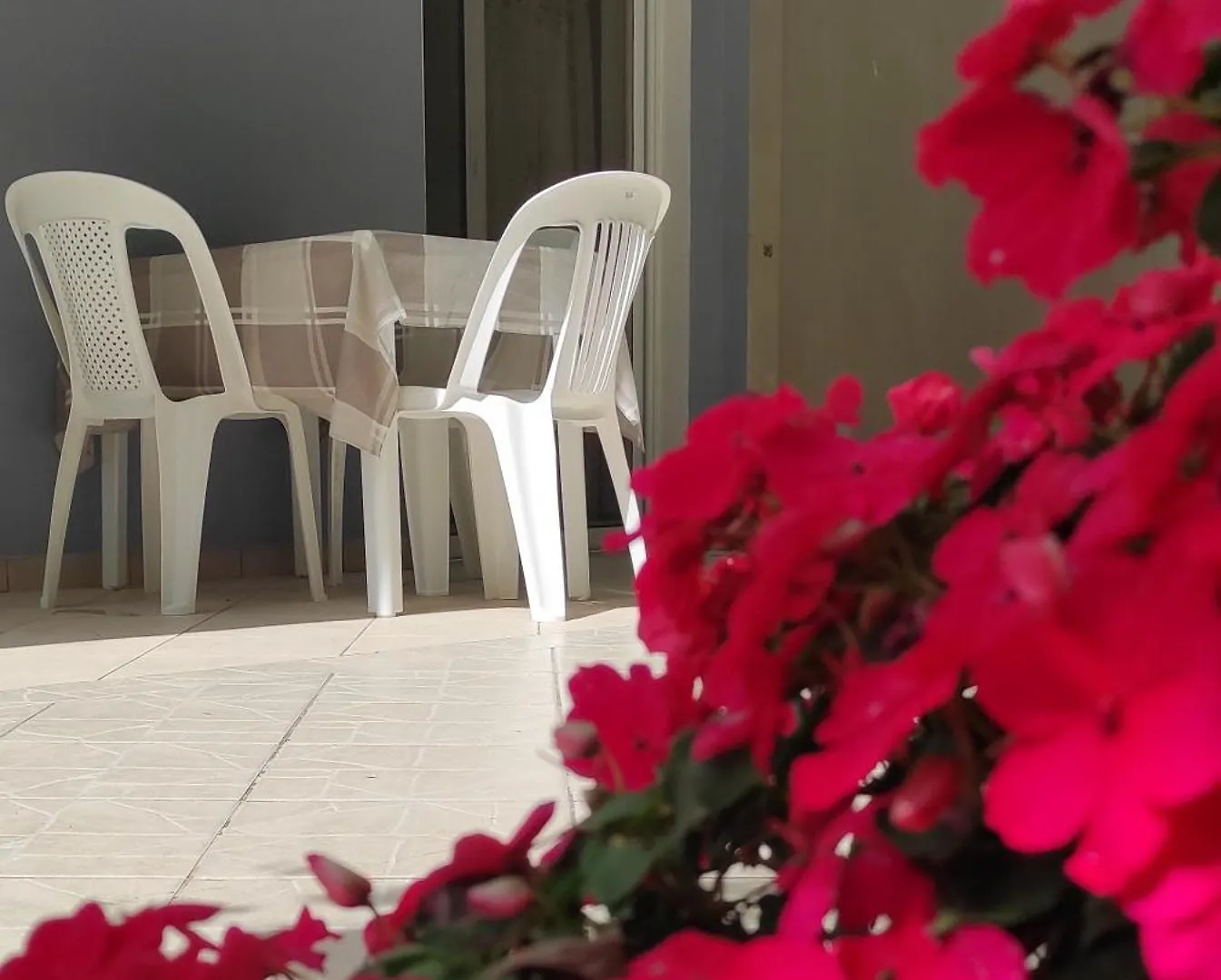 בורש Sunset Studios