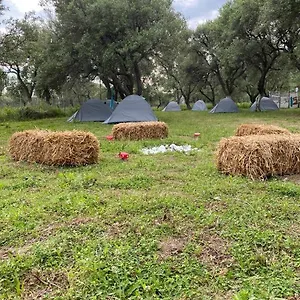 Cika's Camping Glamping